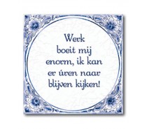 Delfts Blauwe Tegel 16: Werk boeit mij enorm, ik kan er uren naar blijven kijken!